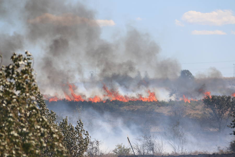 El fuego se ha originado minutos antes de las 16:21 horas en la calle de Valdeperal que conecta el Real Aéreo Club con la carretera del matadero en el polígono industrial de Trobajo del Camino, concretamente en la parte trasera de la vacía factoría de Everest, que se ha visto seriamente amenazada por las llamas