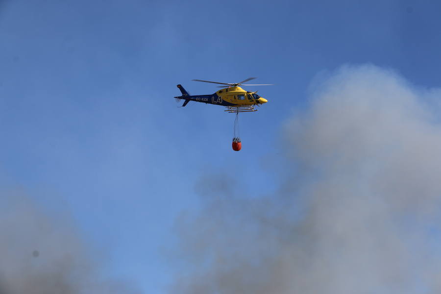 El fuego se ha originado minutos antes de las 16:21 horas en la calle de Valdeperal que conecta el Real Aéreo Club con la carretera del matadero en el polígono industrial de Trobajo del Camino, concretamente en la parte trasera de la vacía factoría de Everest, que se ha visto seriamente amenazada por las llamas