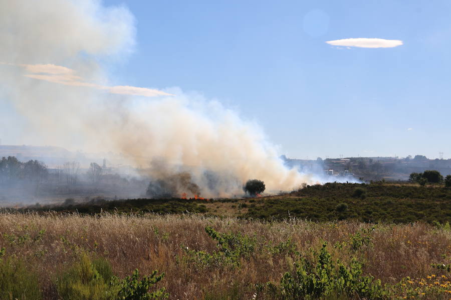 El fuego se ha originado minutos antes de las 16:21 horas en la calle de Valdeperal que conecta el Real Aéreo Club con la carretera del matadero en el polígono industrial de Trobajo del Camino, concretamente en la parte trasera de la vacía factoría de Everest, que se ha visto seriamente amenazada por las llamas