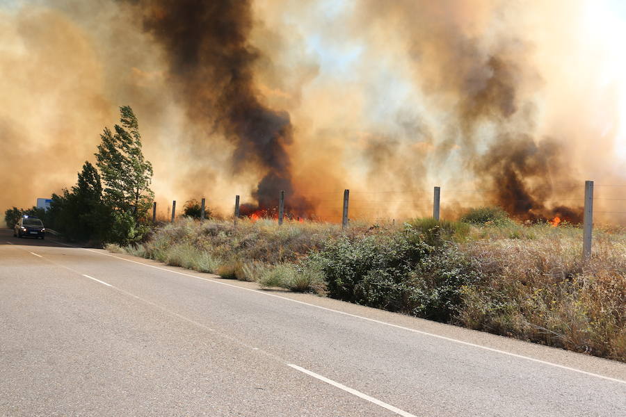 Oteruelo también se ha visto en vuelto en llamas. El incendio que se originó en la tarde de este jueves en el polígono industrial de Trobajo del Camino y en cuya extinción trabajan numerosos medios aéreos y terrestres, ha alcanzado la pedanía de la capital leonesa y se ha aproximado peligrosamente a las viviendas