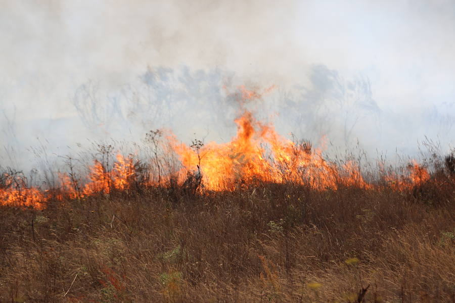 Oteruelo también se ha visto en vuelto en llamas. El incendio que se originó en la tarde de este jueves en el polígono industrial de Trobajo del Camino y en cuya extinción trabajan numerosos medios aéreos y terrestres, ha alcanzado la pedanía de la capital leonesa y se ha aproximado peligrosamente a las viviendas