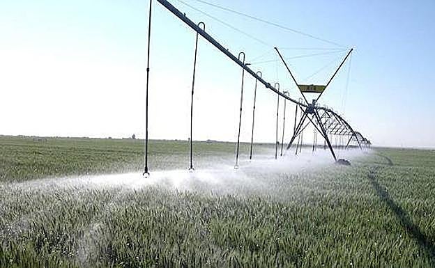 Concentración de regadío