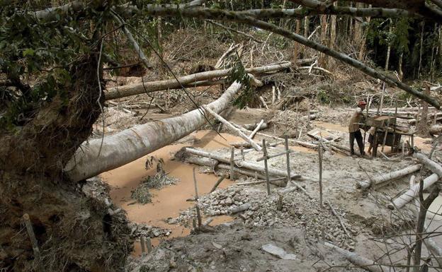 Tala de árboles en la selva amazónica.