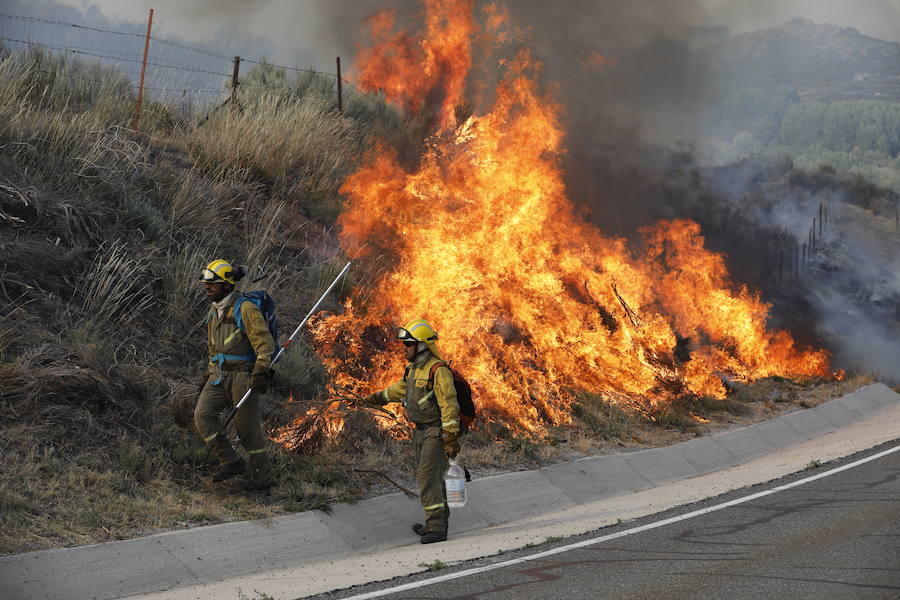 El fuego podría acercarse a los municipios de San Martín del Pimpollar y Hoyos de Miguel Muñoz y ya se ha pedido la colaboración de la UME