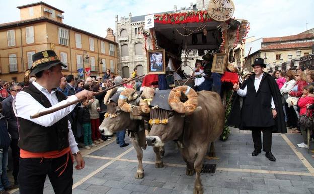 Los carros engalanados, una de las tradiciones de las Fiestas de San Froilán.