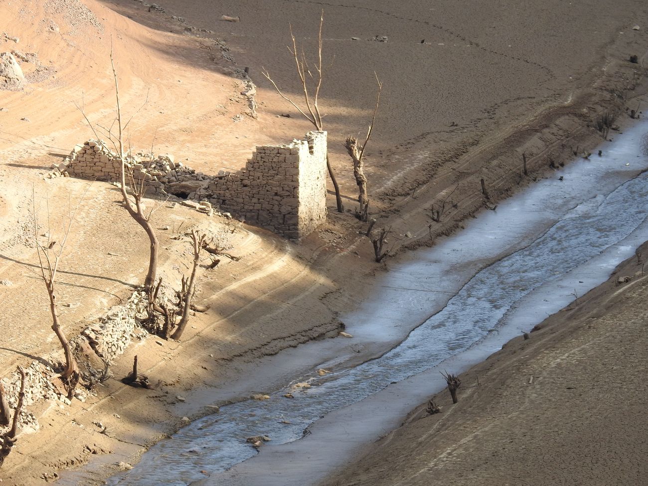 La sequía convierte en un desierto los pantanos y deja al campo leonés «al borde de la ruina»