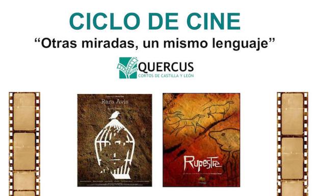 Cartel del Ciclo de cine de Mihacale.