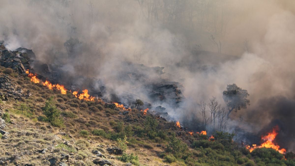 La Cabrera teme por su montaña y sus pueblos