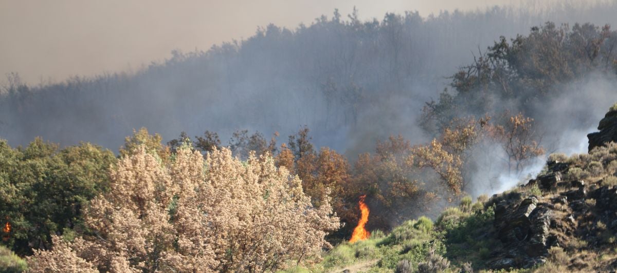 La Cabrera teme por su montaña y sus pueblos