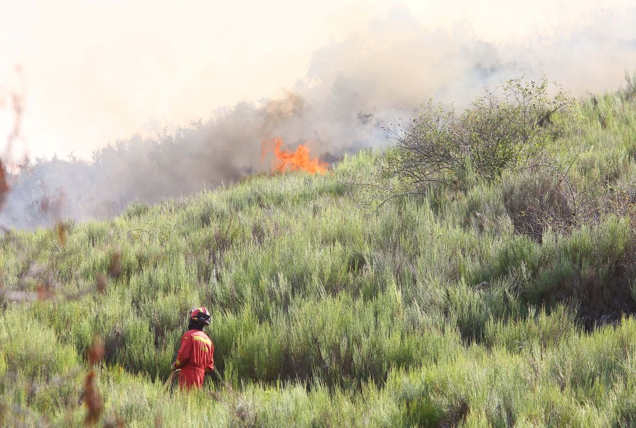 La ceniza caída del cielo y la intensa humareda visible desde varios kilómetros de distancia marcan el despertar de los pueblos afectados por el incendio de nivel 2 que afecta a los municipios leoneses de Truchas y Encinedo