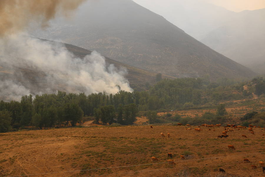Un incendio sin control
