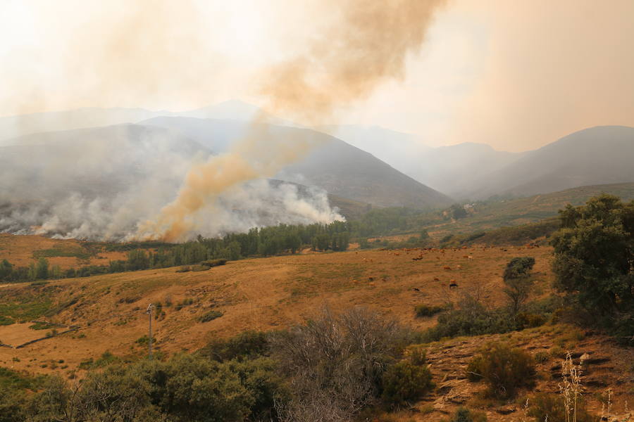 Un incendio sin control