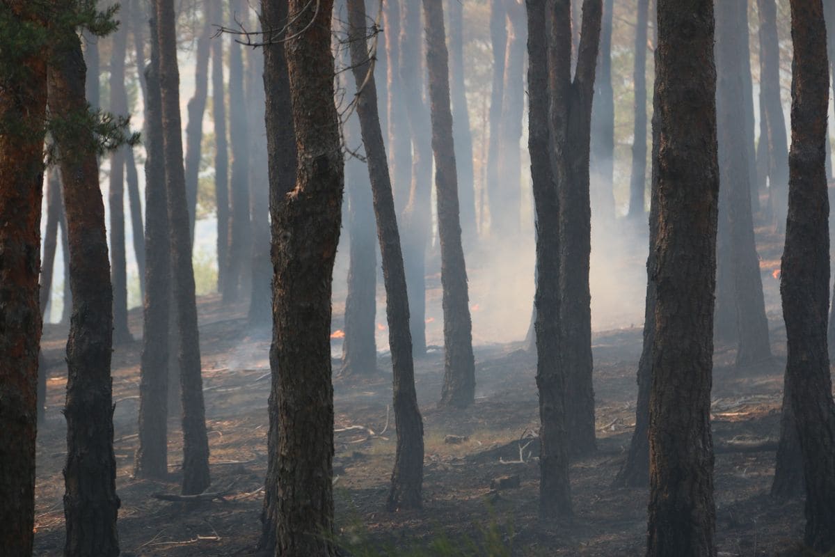 Humo, fuego y cenizas en La Cabrera