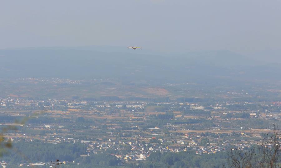 Borrenes, en alerta