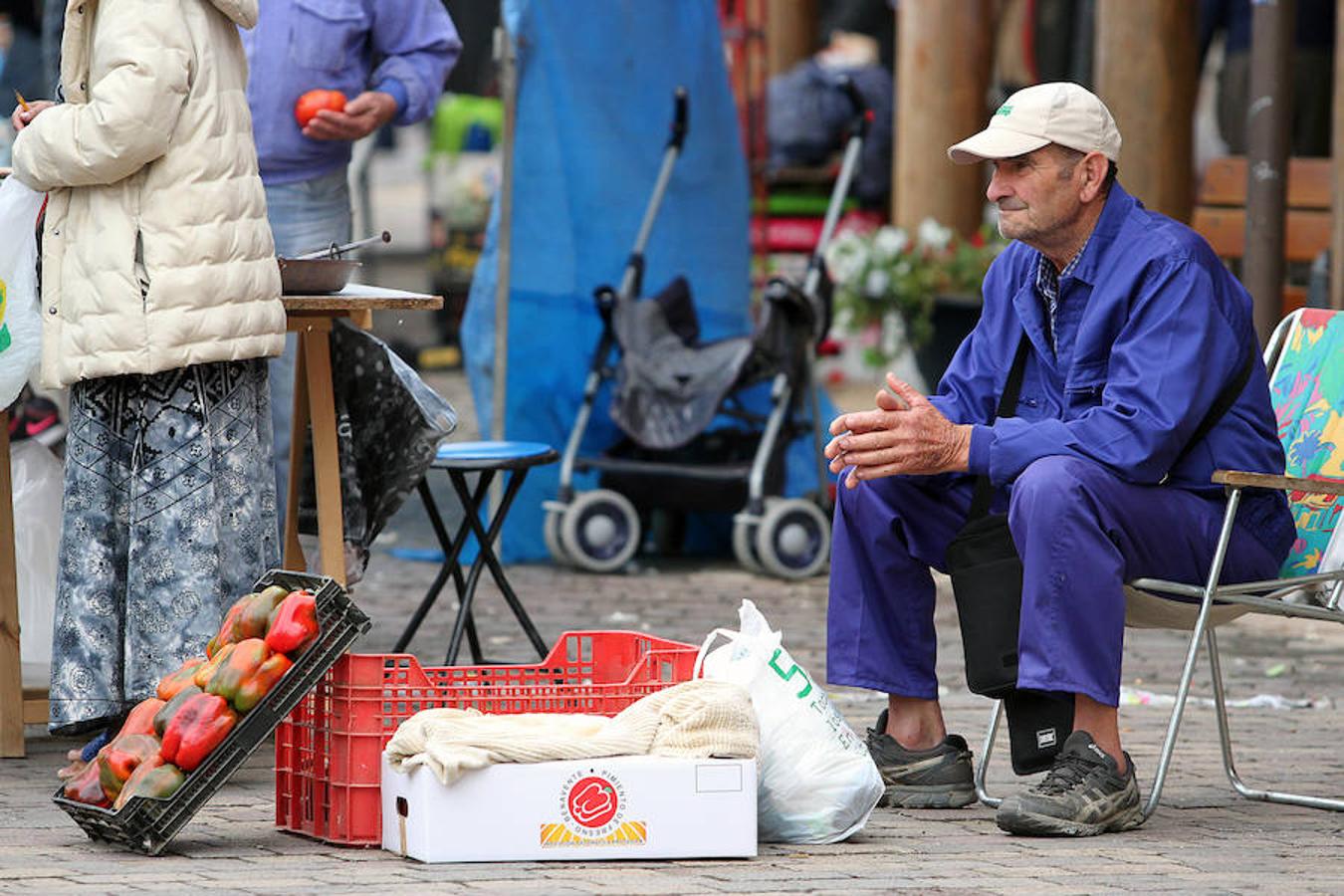 El tomate, rey en Mansilla