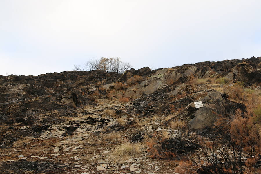 La Cabrera, la desolación tras el fuego