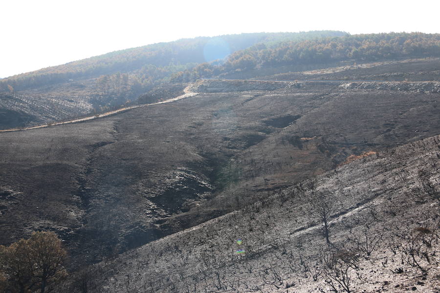 La Cabrera, la desolación tras el fuego