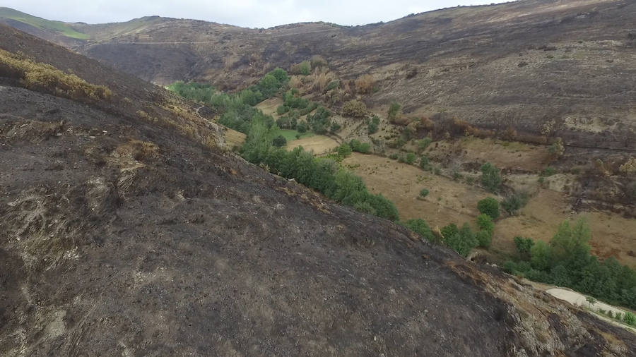 La Cabrera, la desolación tras el fuego