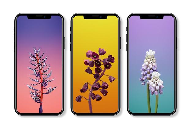 ¿Qué esperamos del nuevo iPhone?