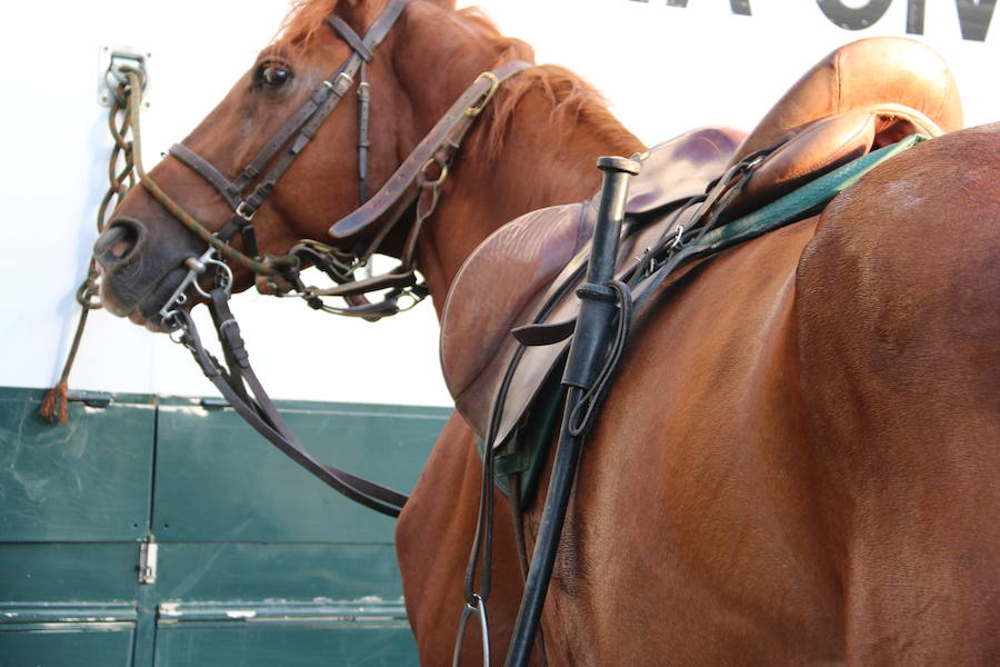 El caballo, mejor amigo de la Guardia Civil