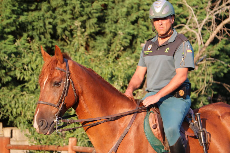 El caballo, mejor amigo de la Guardia Civil