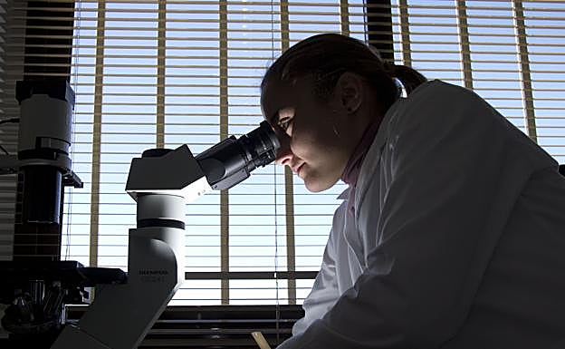 Una investigadora examina una muestra.