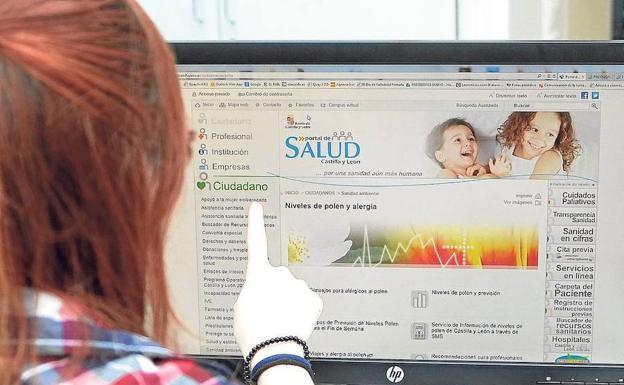 Una usuaria de Internet consulta el Portal de Salud de la Junta. 