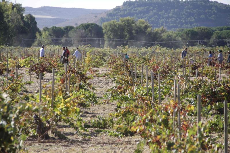 Fotos: El general Manuel Gorjón, embajador de los vinos de Dehesa de los Canónigos