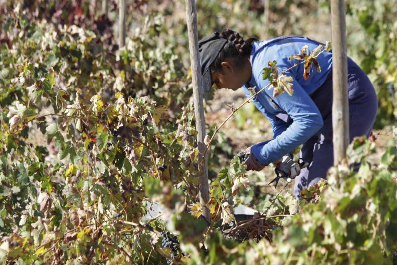 Fotos: El general Manuel Gorjón, embajador de los vinos de Dehesa de los Canónigos