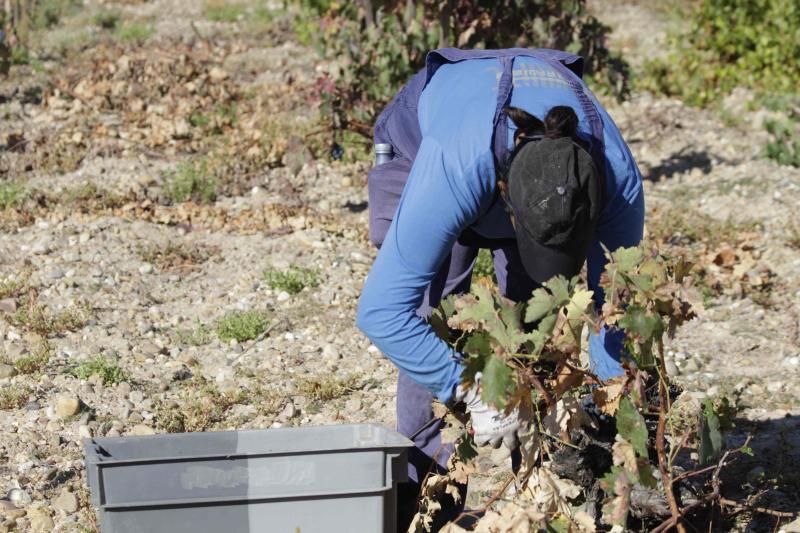 Fotos: El general Manuel Gorjón, embajador de los vinos de Dehesa de los Canónigos