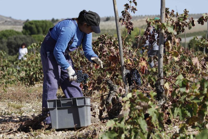 Fotos: El general Manuel Gorjón, embajador de los vinos de Dehesa de los Canónigos