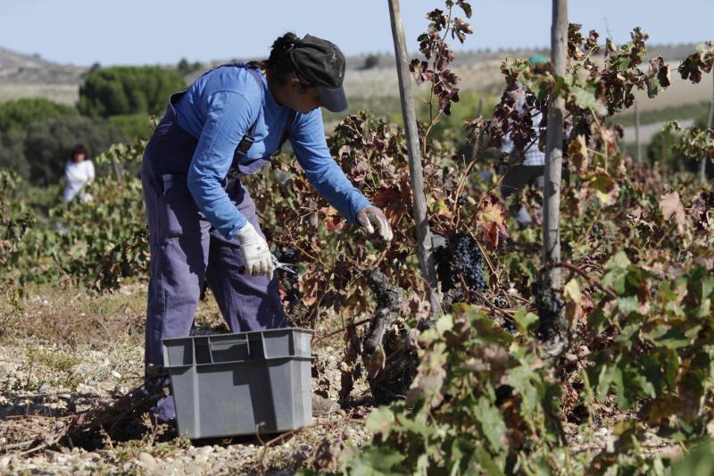 Fotos: El general Manuel Gorjón, embajador de los vinos de Dehesa de los Canónigos