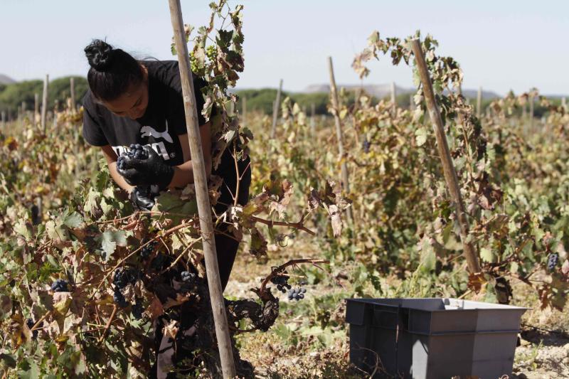 Fotos: El general Manuel Gorjón, embajador de los vinos de Dehesa de los Canónigos