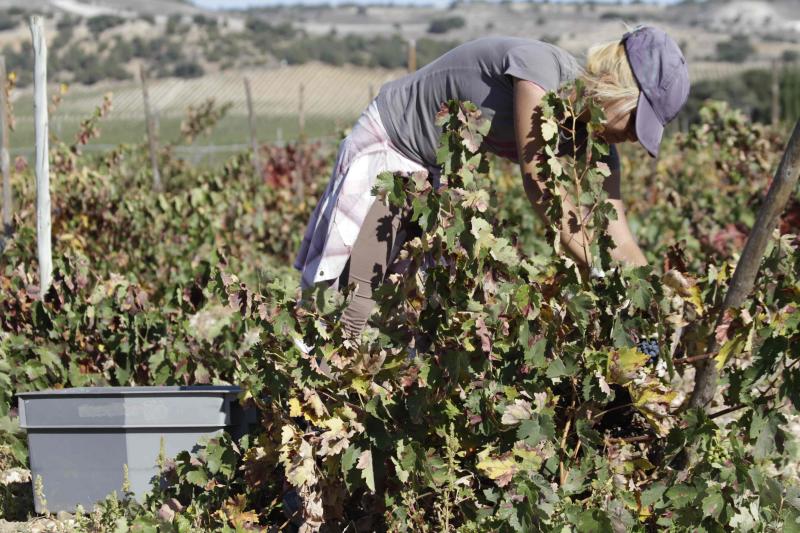 Fotos: El general Manuel Gorjón, embajador de los vinos de Dehesa de los Canónigos