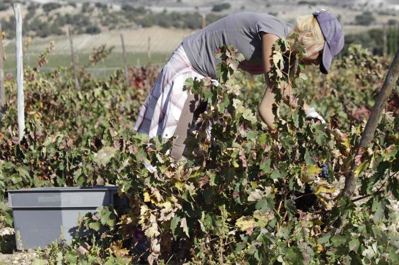 Fotos: El general Manuel Gorjón, embajador de los vinos de Dehesa de los Canónigos