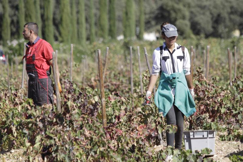 Fotos: El general Manuel Gorjón, embajador de los vinos de Dehesa de los Canónigos