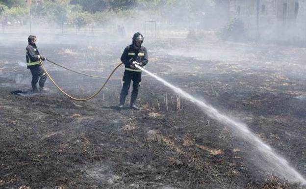 Bomberos en plena actuación contra el fuego.