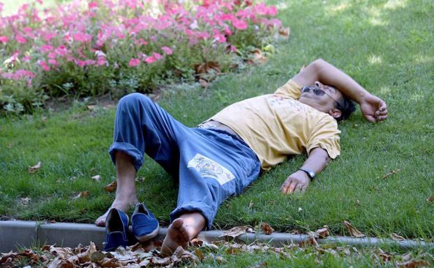 Las altas temperaturas hacen que la gente salga a dormir la siesta en cualquiera de los parques de la ciudad. 