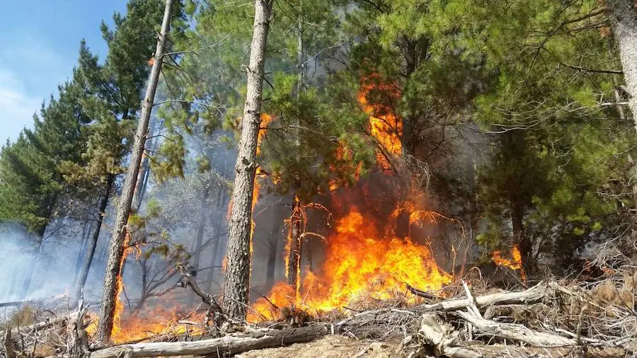 El fuego no cesa en la provincia