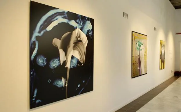 Muestra de Alberto Schommer en el Centro Cultural de Casa de Vacas del Retiro de Madrid.