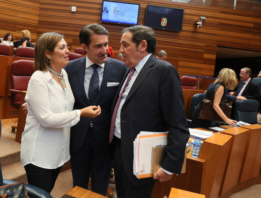 Pleno en las Cortes de Castilla y León