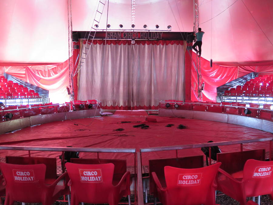 Pasen a ver el circo