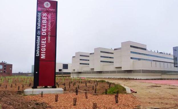 Universidad de Valladolid.