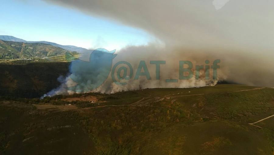 Incendio en el Bierzo