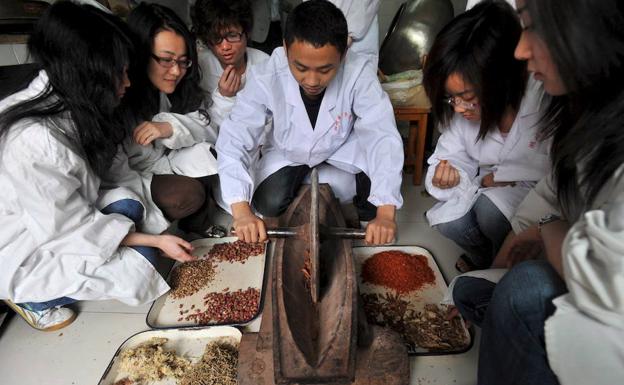 Estudiantes de una escuela de medicina tradicional china. 