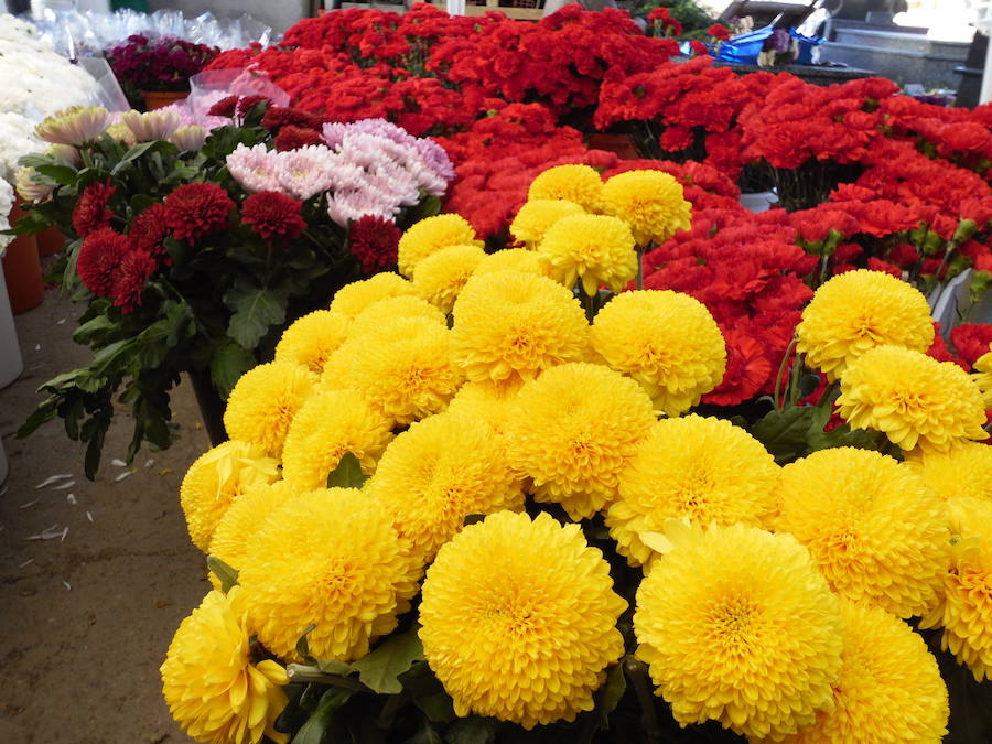 Esta floristería leonesa afronta una de las etapas con más actividad del año en su empresa y ofrecer a los leoneses el mejor asesoramiento y cercanía para poder recordar a sus seres queridos en el Día de Todos los Santos