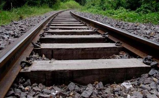 La Plataforma por el Ferrocarril del País Leonés solicita en el Senado que se electrifique la vía férrea Zamora-Medina