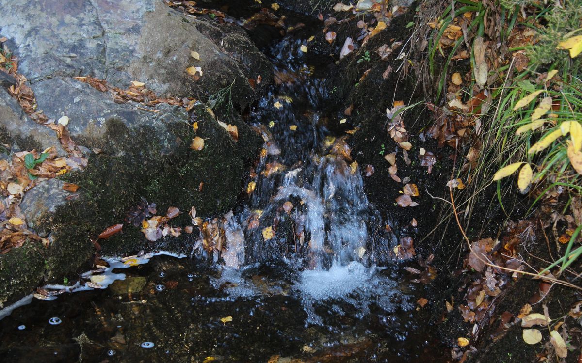 La cascada de Nocedo de Curueño, un espectáculo de fuerza y belleza