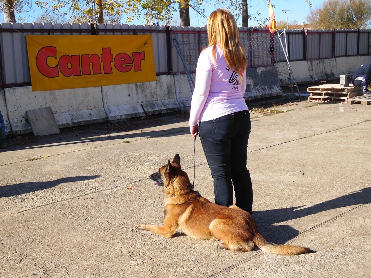 Educando desde el cariño, en Spanish Dog