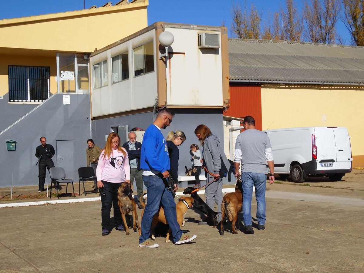 Educando desde el cariño, en Spanish Dog
